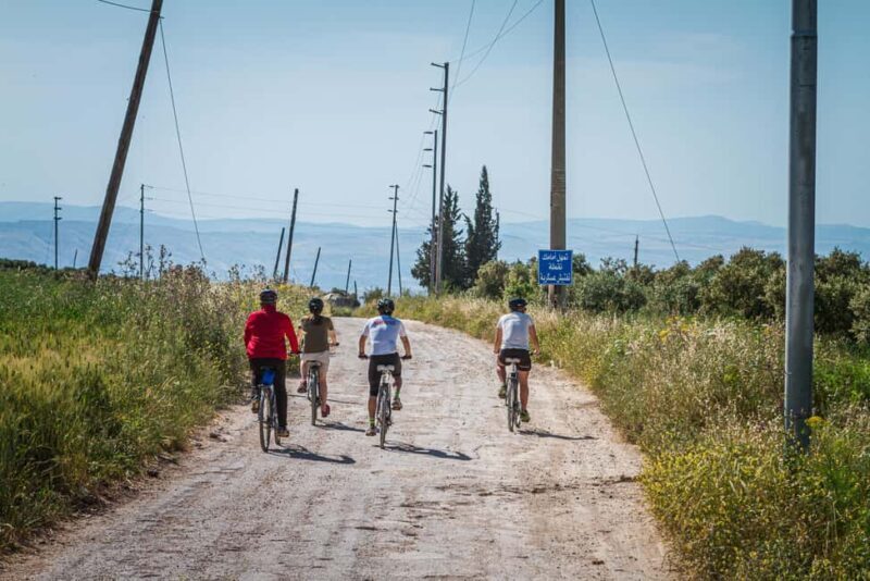Umm Qais: Guided Light Cycling Tour with Equipment - Overview of the Experience