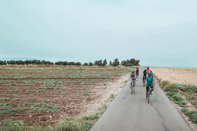 Umm Qais: Guided Light Cycling Tour with Equipment - Who Will Love This Tour?