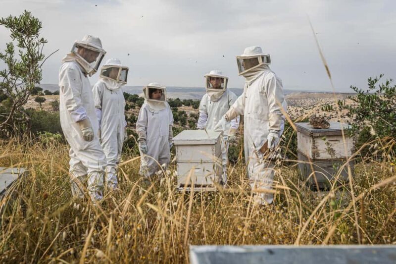 Umm Qais: Overnight Stay and Cycling, Hiking, Beekeeping - Final Thoughts  
