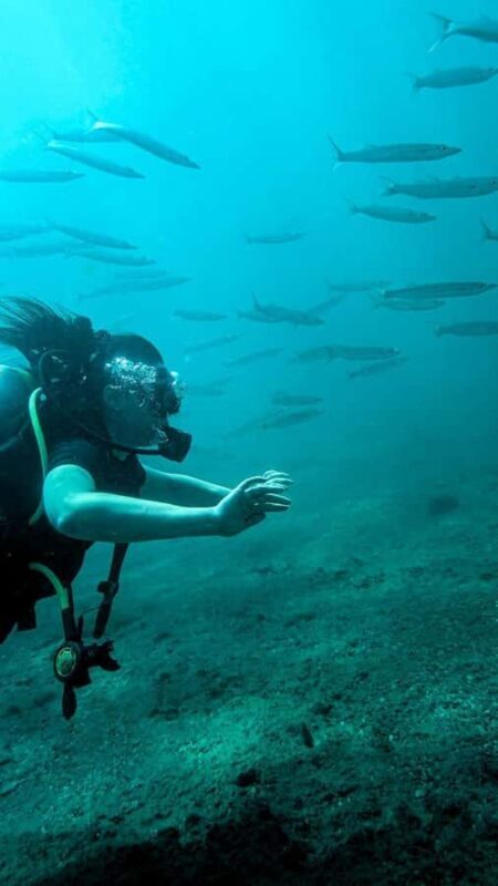Unawatuna: Discover Scuba Diving Experience for Beginners - What Makes This Tour Stand Out?