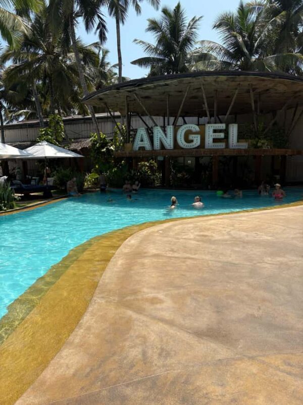 Unawatuna: The Angel Beach Dip&Dine and Cocktails Experience - Key Points
