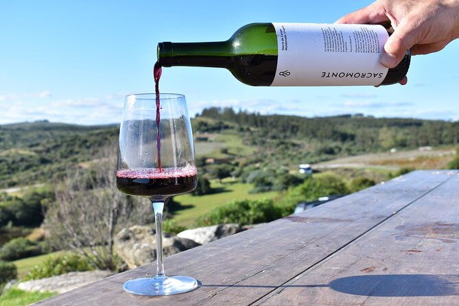 uncover-a-secluded-vineyard-for-lunch