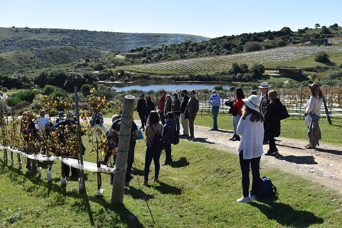 uncover-a-secluded-vineyard-for-lunch