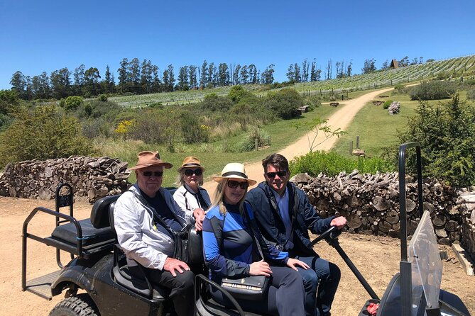 uncover-a-secluded-vineyard-for-lunch