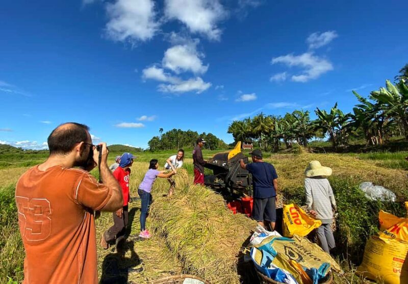 Uncrowded Bohol: Tarsiers, Chocolate Hills & Local Lunch - The Itinerary in Detail