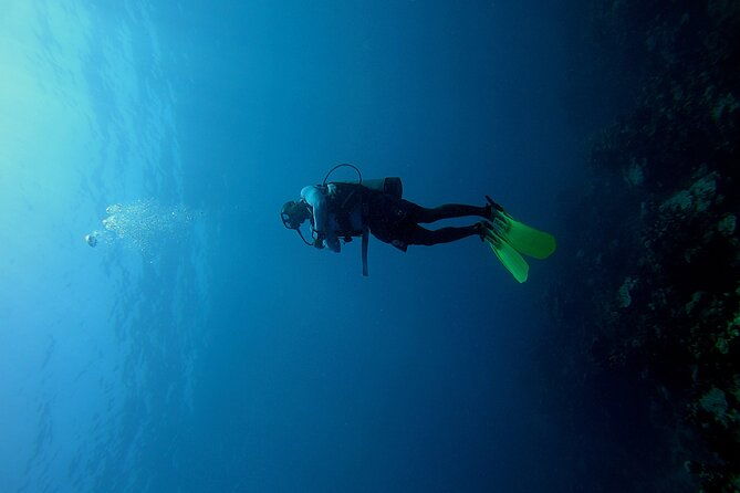 under-a-sea-of-adventures-unforgettable-diving