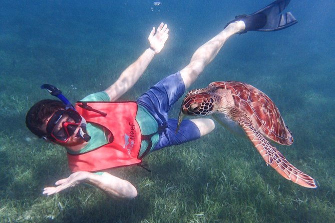 under-the-sea-snorkelingstingray-kayak-power-snorkel-available