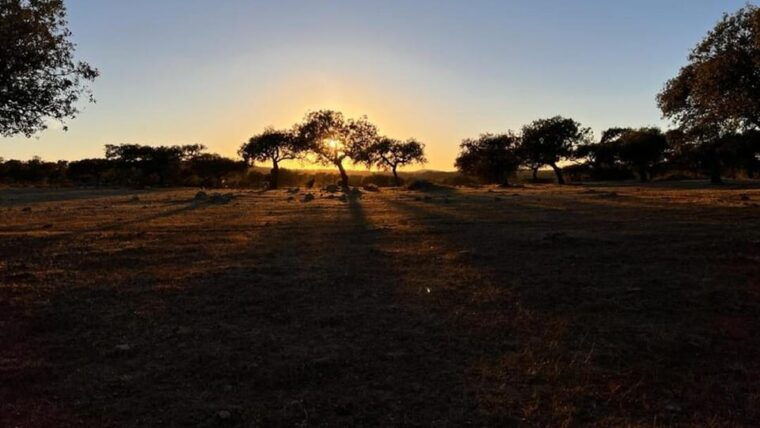 under-the-stars-night-immersion-with-sky-interpretation