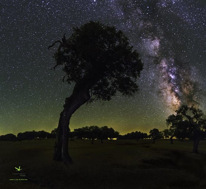 under-the-stars-night-immersion-with-sky-interpretation