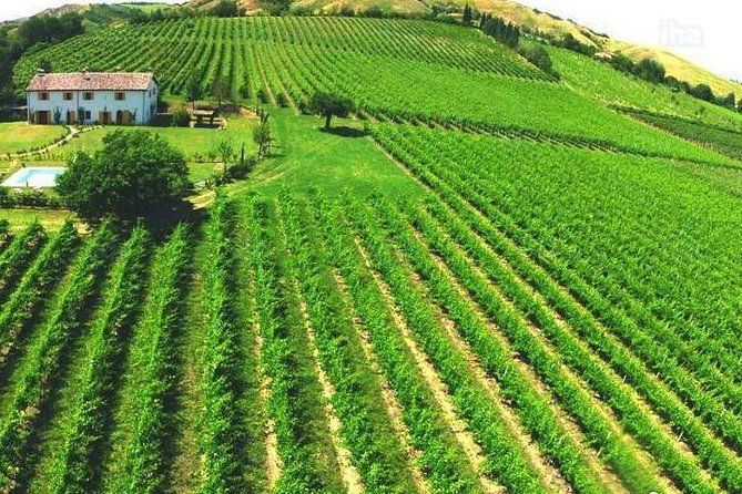 under-the-tuscan-sun-tour-from-rome-cortona-montepulciano-1-day