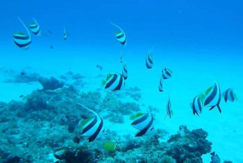 Undersea Walk & Beaches in The North With Transportation - An In-Depth Look at the Undersea Walk & Beaches Tour