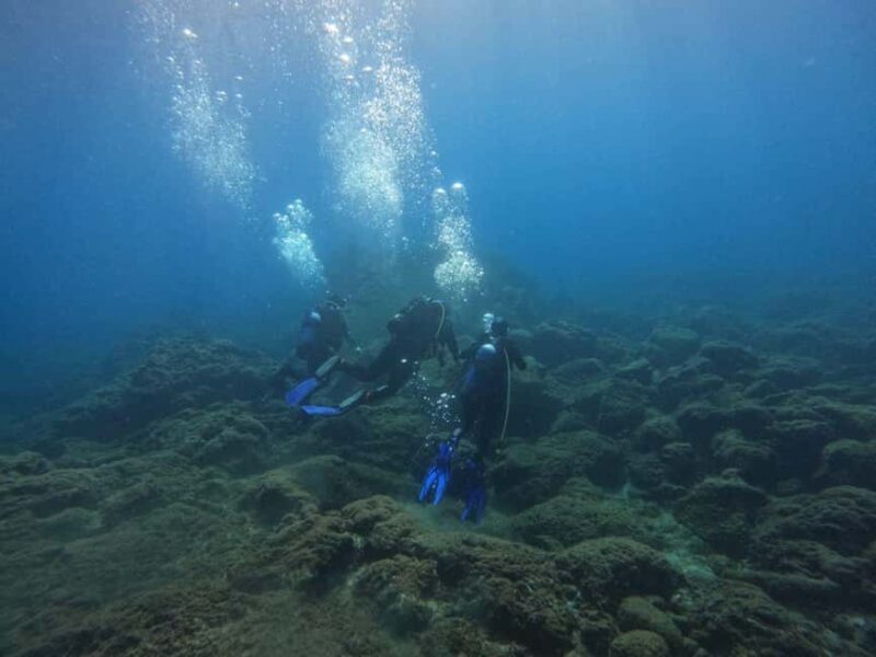 Underwater Archaeological Tour: Acicastello (CT) - What to Expect from the Experience