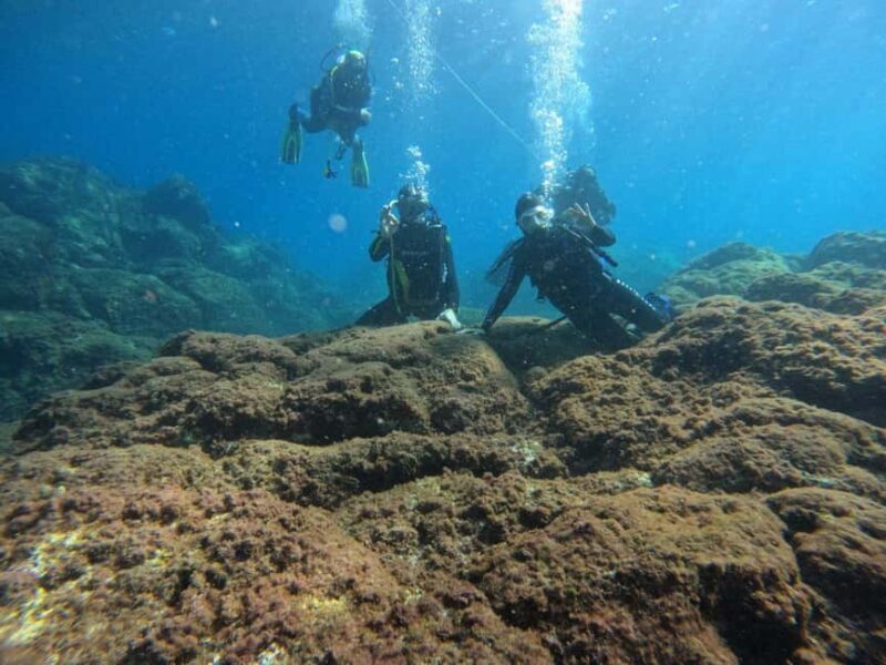 Underwater Archaeological Tour: Acicastello (CT) - The Guides and Their Role