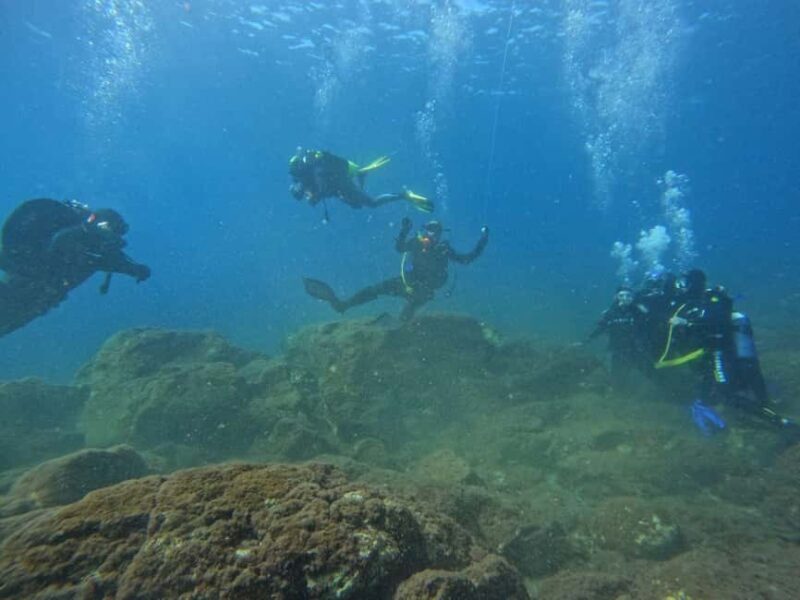 Underwater Archaeological Tour: Acicastello (CT) - Who Will Love This Tour?
