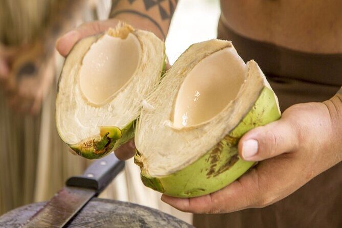 Underwater Observatory & Coconut Experience - Underwater Observatory & Coconut Experience: A Fun and Authentic Island Adventure in Guam