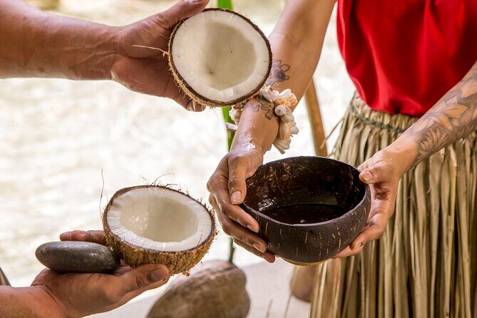 Underwater Observatory & Coconut Experience - Why This Experience Is a Great Value