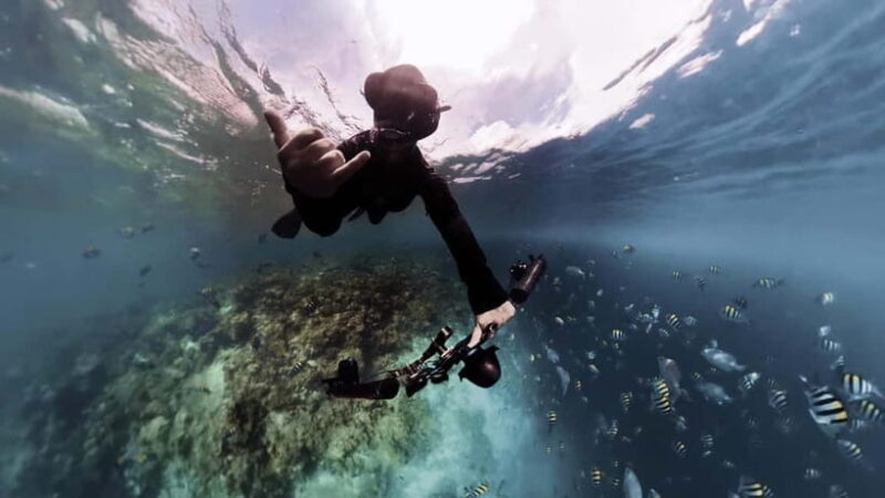 Underwater Photography Course - Underwater Photography Course in the Maldives: A Deep Dive into Marine Image-Making