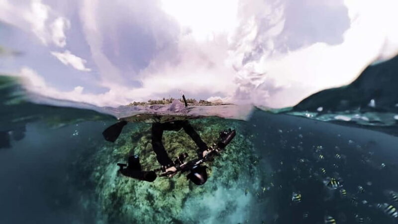 Underwater Photography Course - Authentic Experiences and Feedback