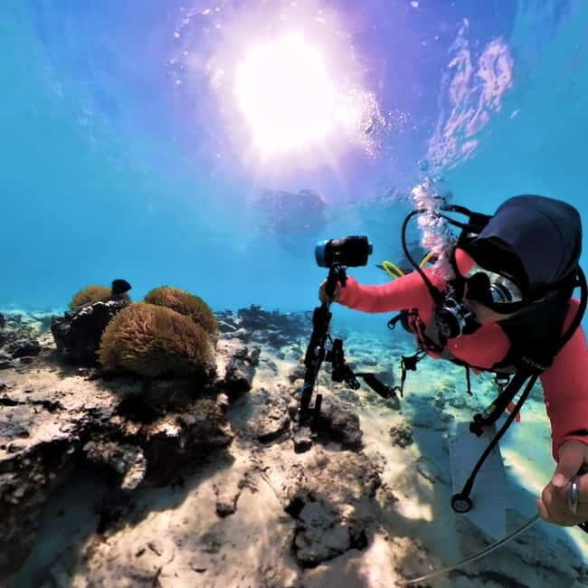 Underwater Photography Course - Who Is This Experience Best For?