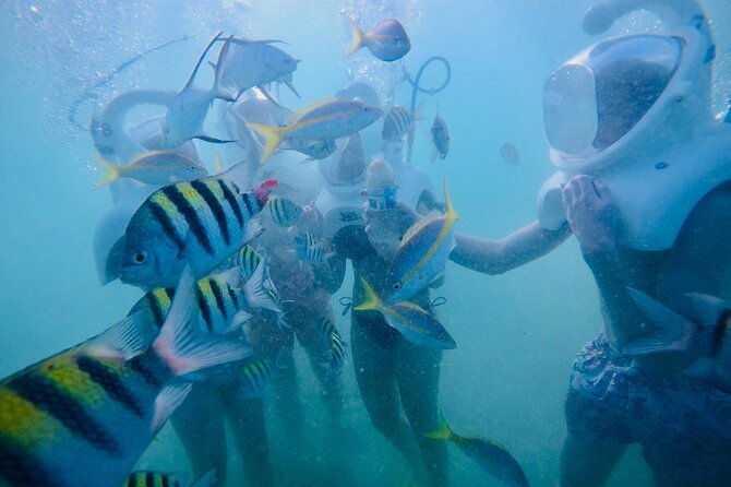 underwater-sea-trek-in-san-juan-explore-beneath-the-waves