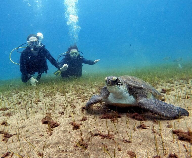 underwater-tenerife-personalized-scuba-diving-experience