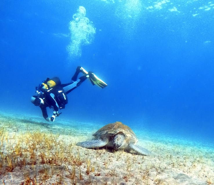 underwater-tenerife-personalized-scuba-diving-experience