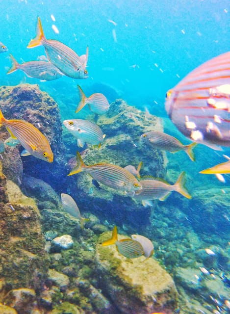 underwater-tenerife-personalized-scuba-diving-experience