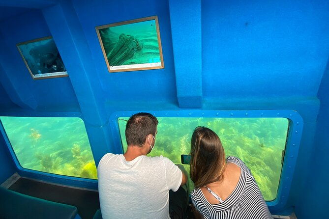 underwater-viewing-tours-along-the-coast-of-sesimbra