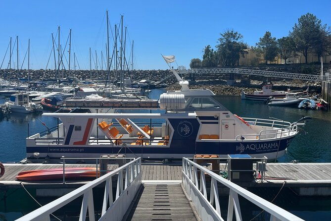 underwater-viewing-tours-along-the-coast-of-sesimbra