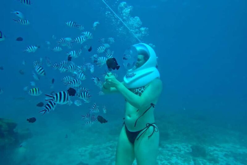 Underwater Walking Experience in Zanzibar,No Swimming Needed - The Itinerary in Detail