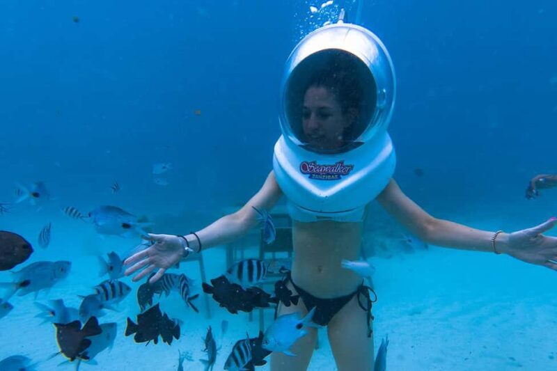 Underwater Walking Experience in Zanzibar,No Swimming Needed - Tips to Maximize Your Experience