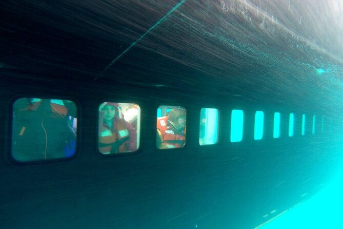 underwater-whale-watching-in-puerto-piramides