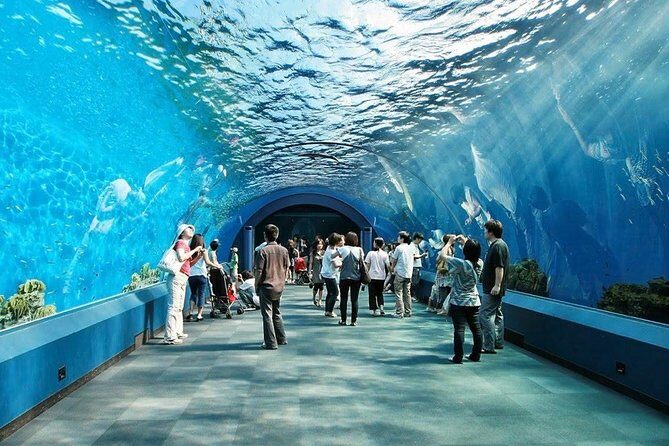 Underwater World at Pattaya Admission Ticket with Return Transfer - Key Points