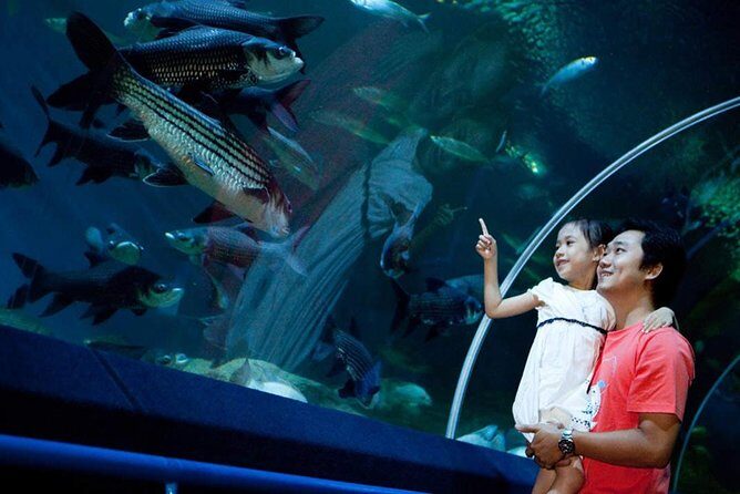 Underwater World at Pattaya Admission Ticket with Return Transfer - An Overview of the Experience