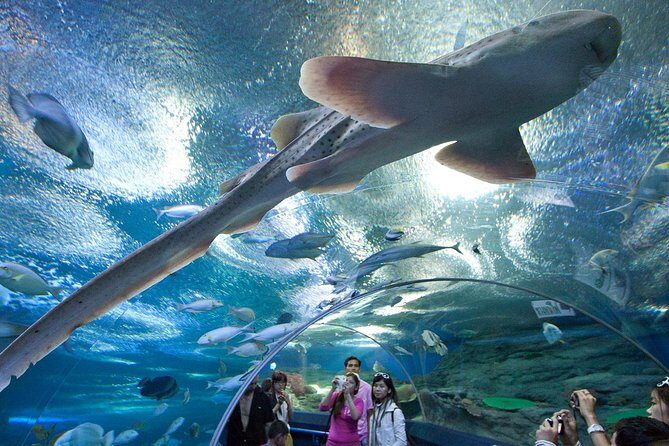 Underwater World at Pattaya Admission Ticket with Return Transfer - Transportation and Convenience