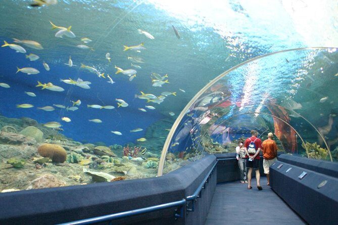 Underwater World in Pattaya Admission Ticket - An In-Depth Look at the Underwater World in Pattaya