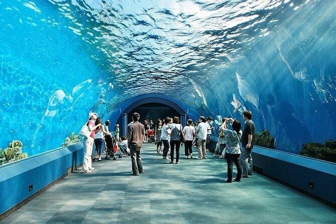 Underwater World in Pattaya Admission Ticket - Why This Aquarium Is a Great Choice for Visitors