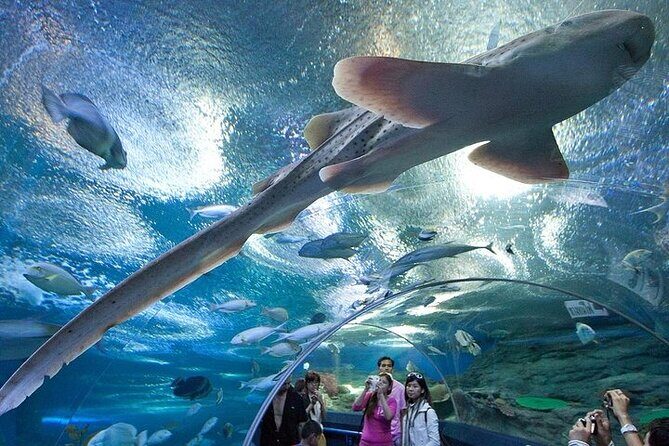 Underwater World in Pattaya Admission Ticket - Is This Tour Worth It?