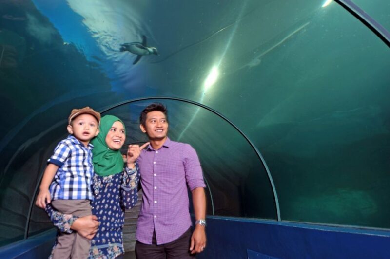 Underwater World Langkawi Admission Ticket - Who Should Visit Underwater World Langkawi?