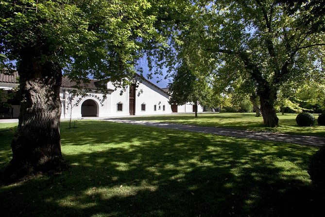 undurraga-wine-tasting-tour-from-santiago