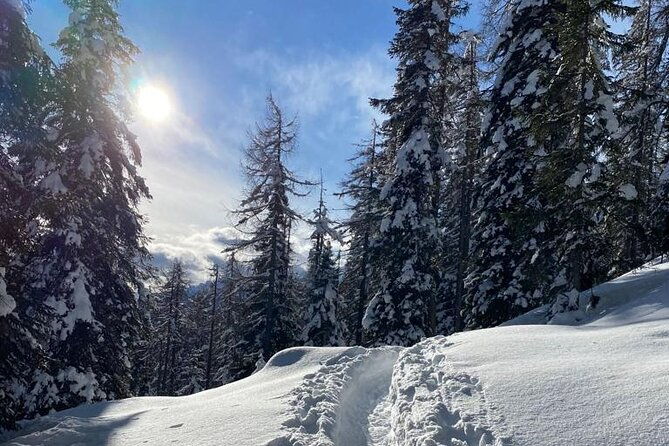 unesco-dolomites-great-expedition-from-venice-by-yellowboot