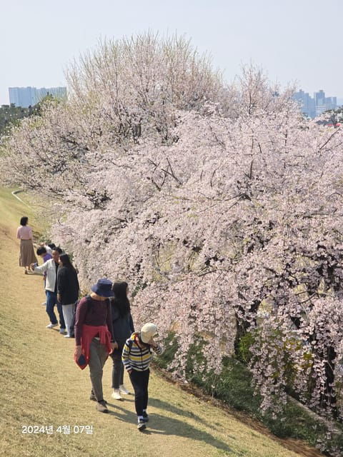 unesco-heritage-suwon-hwaseong-fortress-and-folk-village