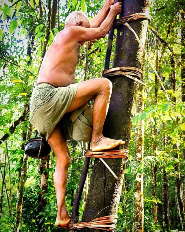 UNESCO Kitul Production Program Tour in a Kandy Village - Key Points