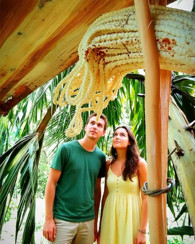 UNESCO Kitul Production Program Tour in a Kandy Village - An In-Depth Look at the Tour Experience