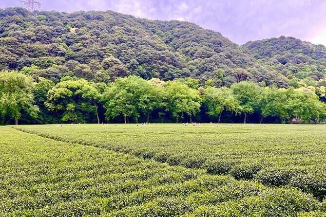 UNESCO Listed Tea Hand Frying and Tasting Workshop in Hangzhou - Final Thoughts: Is It Worth It?