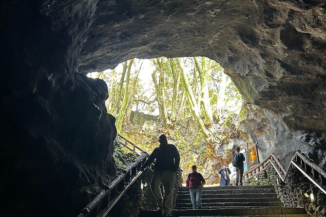 UNESCO Natural Heritage Private Tour by a Certificated Guide - Exploring Jeju’s UNESCO Natural Heritage in Detail