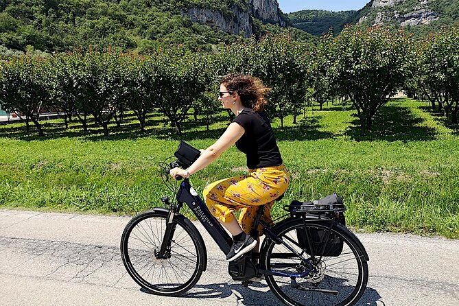 unesco-palladian-villas-in-vicenza-e-bike-private-tour-with-picnic-and-aperitif-2