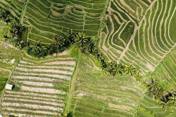 UNESCO Rice Terrace Jatiluwih with Tanah Lot Sunset Tour - Authentic Experiences & Practical Tips
