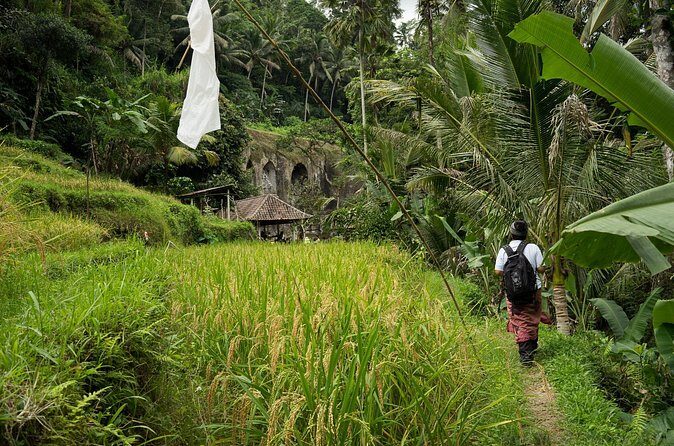 UNESCO Sites Cultural Walking Tour in Bali - A Comprehensive Look at the Bali UNESCO Sites Tour