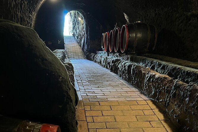 unesco-world-heritage-wine-day-tour-in-tokaj-hungary-with-food
